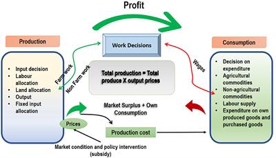 Effects of agricultural subsidies on farm household decisions: a separable household model approach